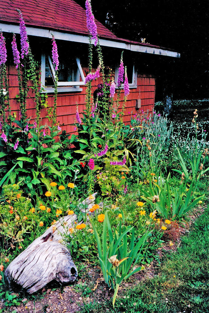 Driftwood Village Cottages Sturdies Bay Exterior foto